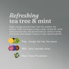 Hárnæring tea tree + mint - Clarifying 400ml