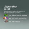 Klósetthreinsir - Refreshing Mint 750ml